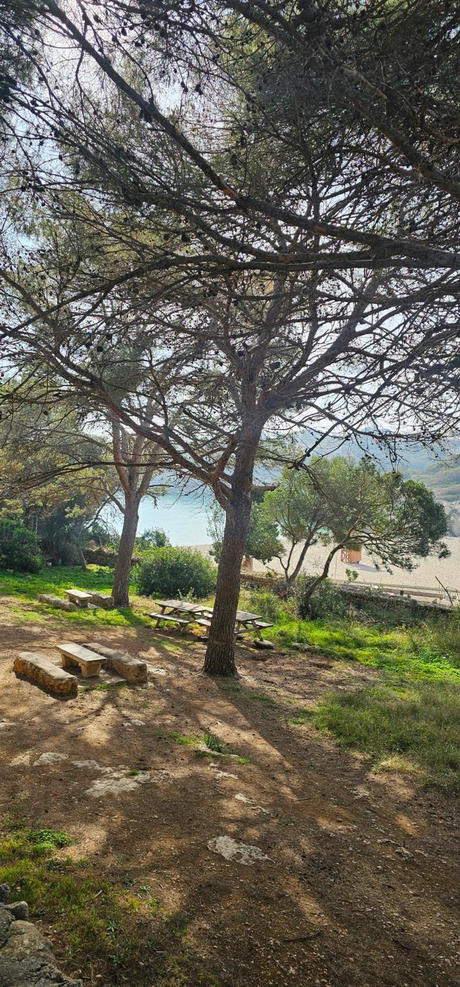 Casa Domingos Cales De Mallorca Buitenkant foto